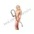 Kožni Bič Arabian Bull Whip 180cm