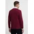 TOMMY HILFIGER Pulover  bordo / bela