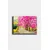 Wallity Slika 691522702, 50x70 cm