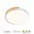 LED plafonska lampa F2811-16C WH+WD