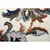 Preproga 120x170 cm Orient Caracci - Hanse Home