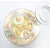 4-piece fermentation weight set, made of glass, 7 cm - Westmark
