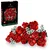 Lego BOTANICALS Buket ruža ( 1045133 )