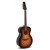 Applause E-Kitara akustična Wood Classics AAJ96-1 Jumbo AP510.116 Gewa