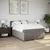 Vidaxl Box spring postelja z vzmetnico taupe 140x190 cm blago