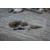Edges Camo Running Safety Clip Kit (CAC803)