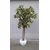 Lilium stablo kesten zeleno-oranz 130 cm