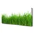 tulup.si Slika na platnu Grass nature rastlin 125x50 cm