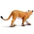 Safari Ameriška puma
