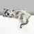 Aberto Design Dekorativna figura Cat, Bela