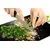 shumee Rezalna ploa steklene ploe 52x40 testenine