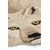Volnena preproga Doing Goods Woozy Wolf Rug Large