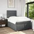 Vidaxl Box spring postelja z vzmetnico temno siva 120x200 cm blago