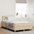 Vidaxl LED Box Spring Postelja z LED trakami krema 120 x 200 cm blago