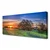 tulup.si Slika na platnu Sun travnik landscape 120x60 cm