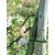 shumee Bradas 5328 Cev za rastline 3,9 mm x 30 m