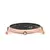 DANIEL WELLINGTON DW00100148