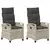 Vrtna stolica 2 pcs Svijetlo siva i tamno siva 56 x 60 x 112 cm