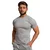 GymBeam Muška majica Fitted TRN Grey