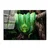 Wallity slika UV-151, 70 x 100 cm