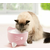 Catit Fontana Pixi - nerjavno jeklo