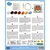 SENTOSPHERE Kreativni set Punch needle Lisica