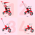 SMART TRIKE Tricikl zoom-crveni