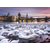 Schmidt - Puzzle Ringer: Prague: Swans - 1 000 kosov