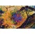 Slika drevo z orientalskim ozadjem - 60x40