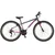 Bicikl Visitor Radiance 29 Sivo Roze