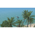 PCG X Plane 12