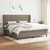 Vidaxl Box spring postelja z vzmetnico taupe 200x200 cm blago