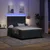 Vidaxl LED Box Spring Postelja Temno siva in bela 140 x 200 cm