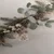 Slika elegantno igličevje in evkaliptus - 120x40