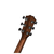 TAYLOR 322ce V-CLASS