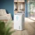 Philips de5305/11 odvlazivac vazduha ( 21519 )