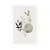 Plakat rastline v boho stilu - 60x90 black