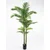 Lilium drvo palma 1x3 190cm 567325