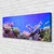 tulup.si Slika na platnu Barrier reef narava 120x60 cm