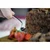 Windsor spatula for serving cake, stainless steel - Grunwerg