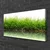 tulup.si Slika na platnu Grass nature voda rastlin 100x50 cm