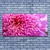 tulup.si Slika na platnu Flower na wall 140x70 cm