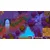 Switch Pixelshire