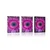 Plakat purpurna gerbera - 40x60 silver