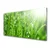 tulup.si Slika na steklu Narava grass drops 100x50 cm 4 obešalnika