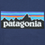 Patagonia Majice kratkih rukava BOYS LOGO T-SHIRT Blue