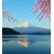 Fototapeta pogled z jezera na Fuji - 245x270