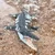 Safari Liopleurodon prazgodovinski morski plazilec