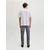 JJ Rebel by Jack & Jones farmerke Adam za muškarce, sive, 30/30