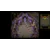 Terranigma (XBOX Series X)